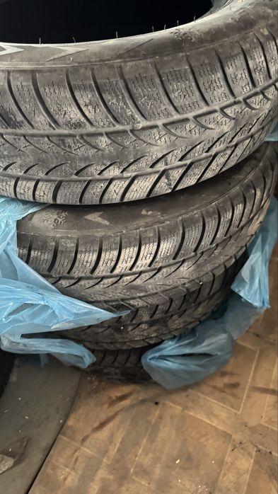 Шины покрышки зимние Triangle