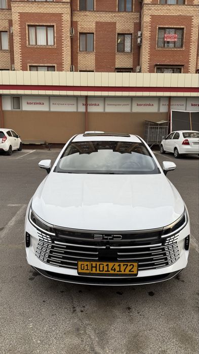 BYD CHAZOR Full position 120 km