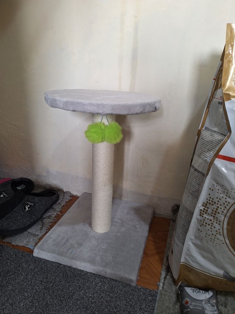 Котешки драскалки