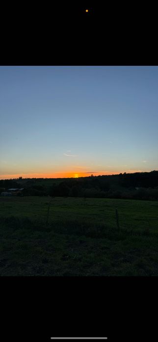 Teren Sălciua Nouă 6000 mp