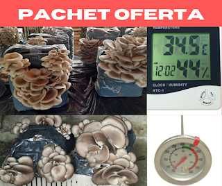 Pachetul ofertă 4 Saculeti Pleurotus+Term-Higr LCD.-Term cu tija