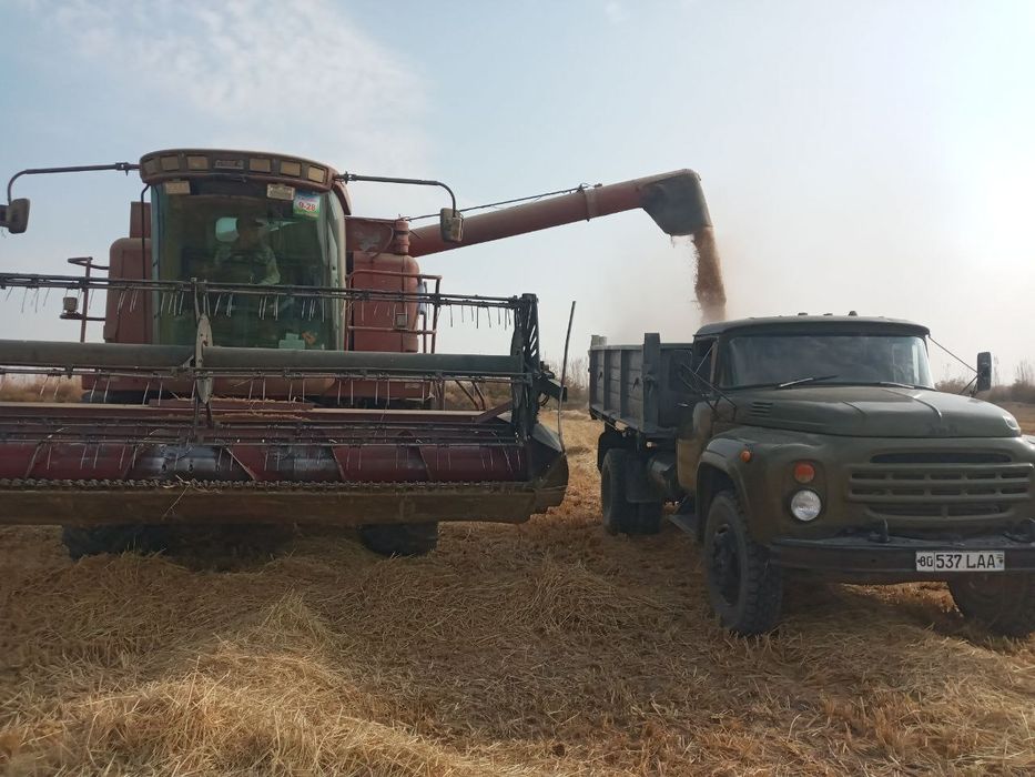 Cess 2166 yili 1999 mator remont boʻlgan moy yemaydi narxi 190 milyon