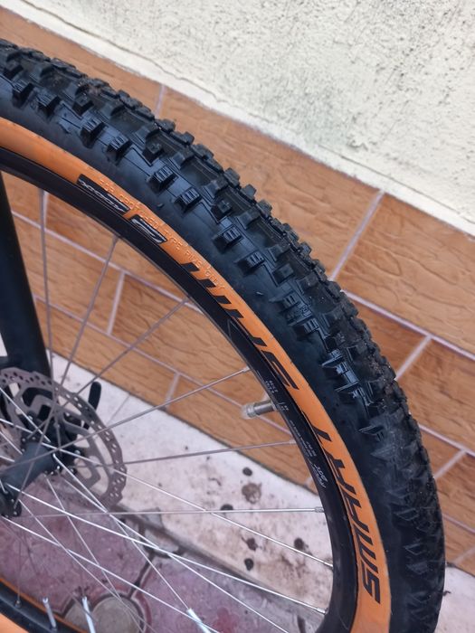 КТМ 29 цола.         .