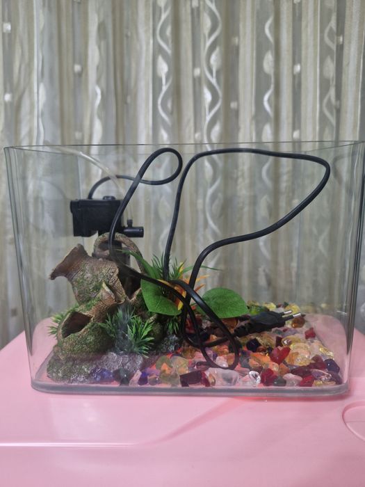 Akvarium+dekoratsiya+filtr