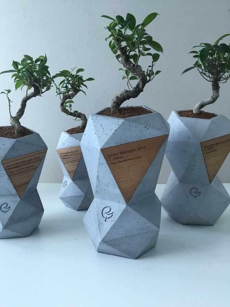 Cadouri corporate personalizate: Kituri de plantare, trofee și pachete