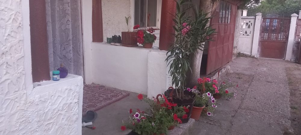 Casa de vinzare com cervenia Teleorman