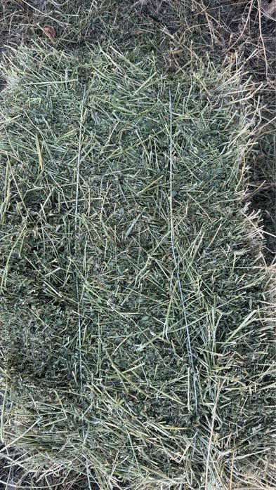 Тюк сатам с.Алдабергенов