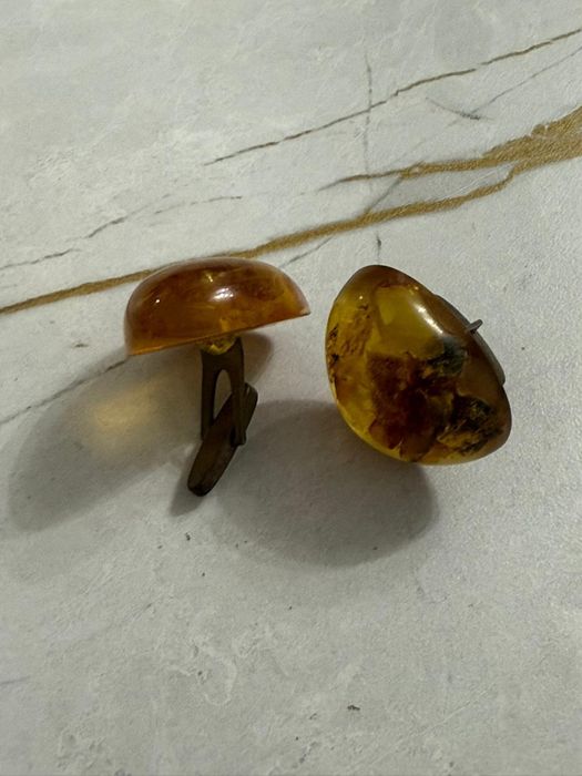 Большая янтарная запанка