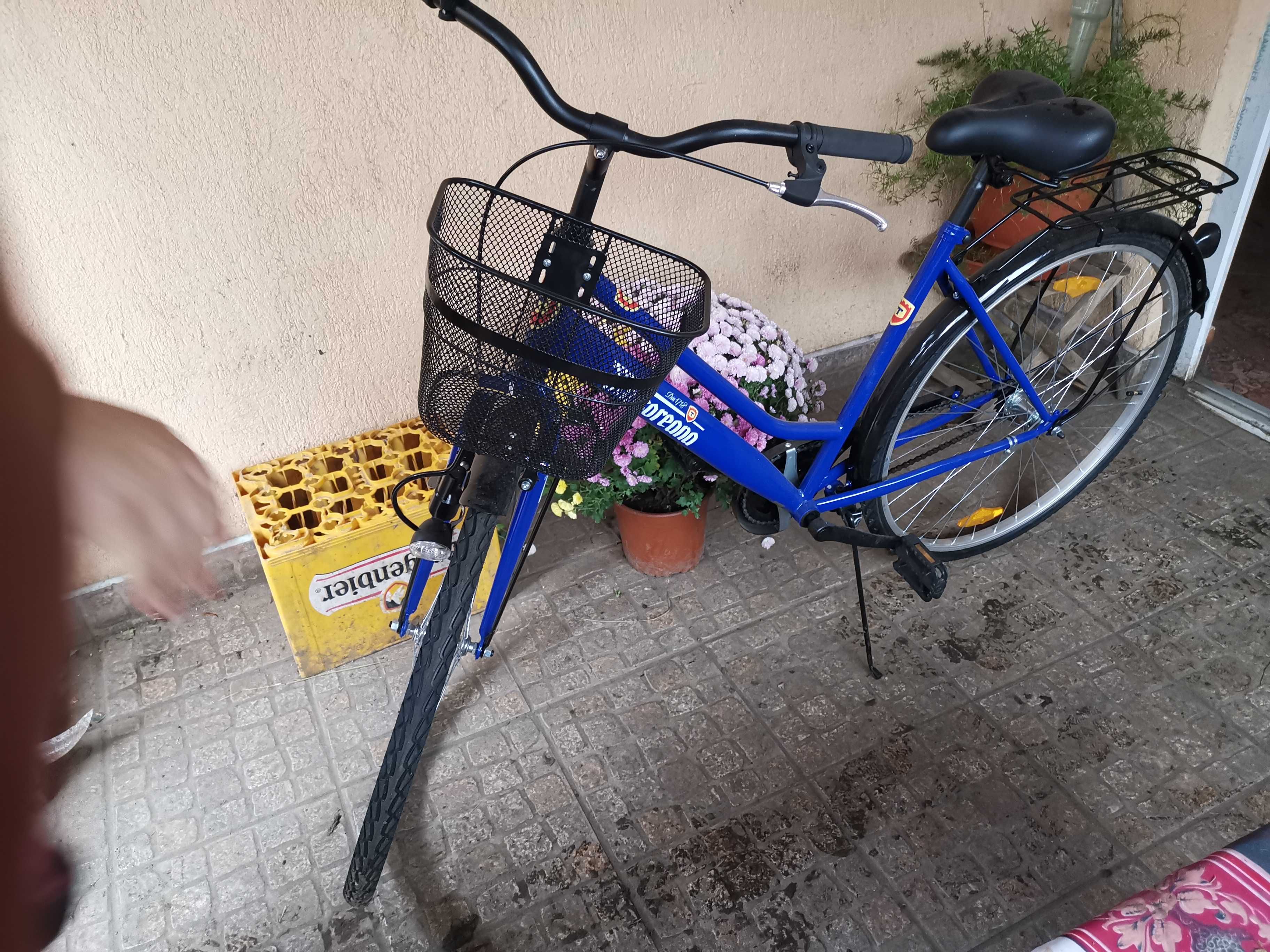 Bicicleta Timisoreana Noua