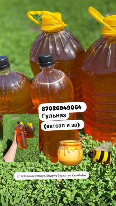 Продаю Катонский свежий ,натуральный мед. Своя пасека