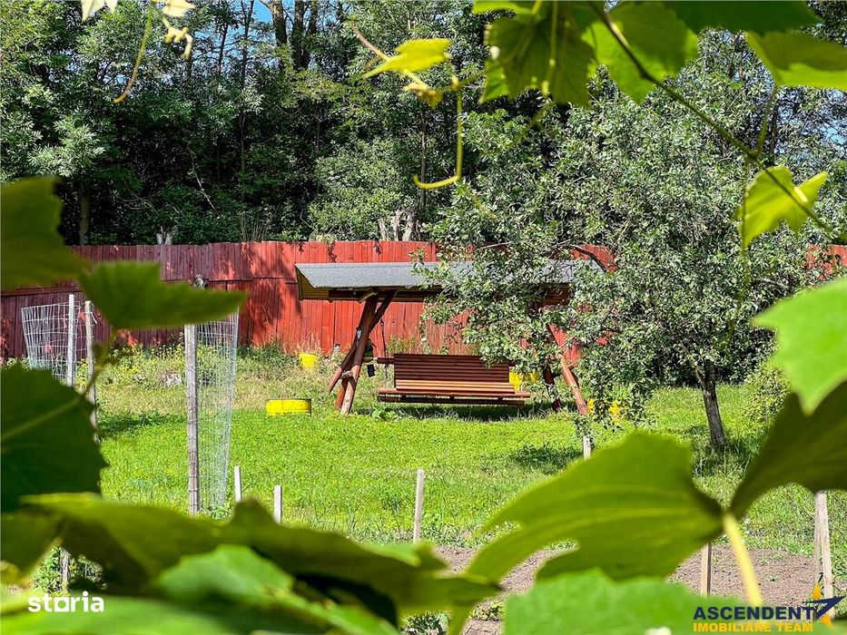 FILM! Locuinta contemporana si rafinata, inteligent organizata, Ilieni