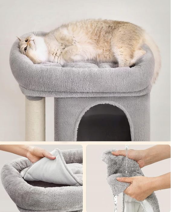 Котешко дърво Feandrea