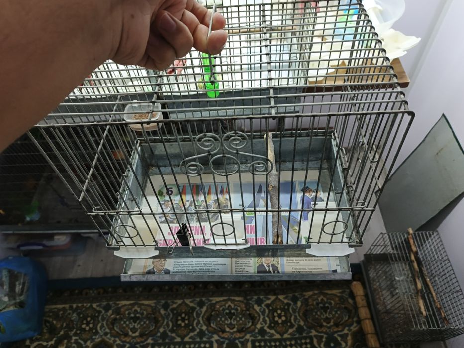 Сайратма кафас сотилади б/у холати зур