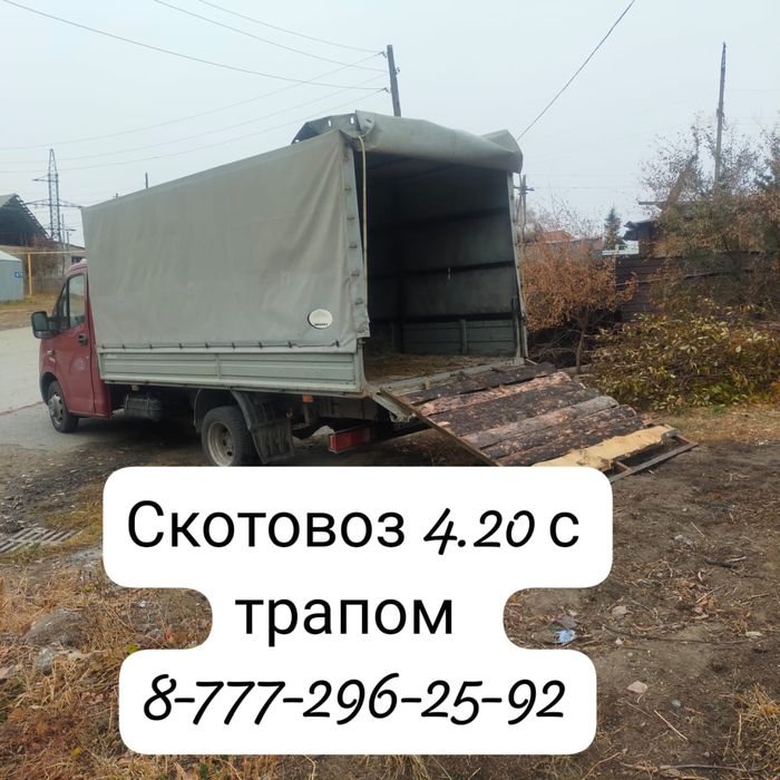 Скотовоз 4,20 крс лошади мрс