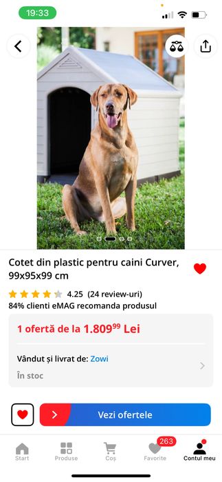 Cusca caini plastic