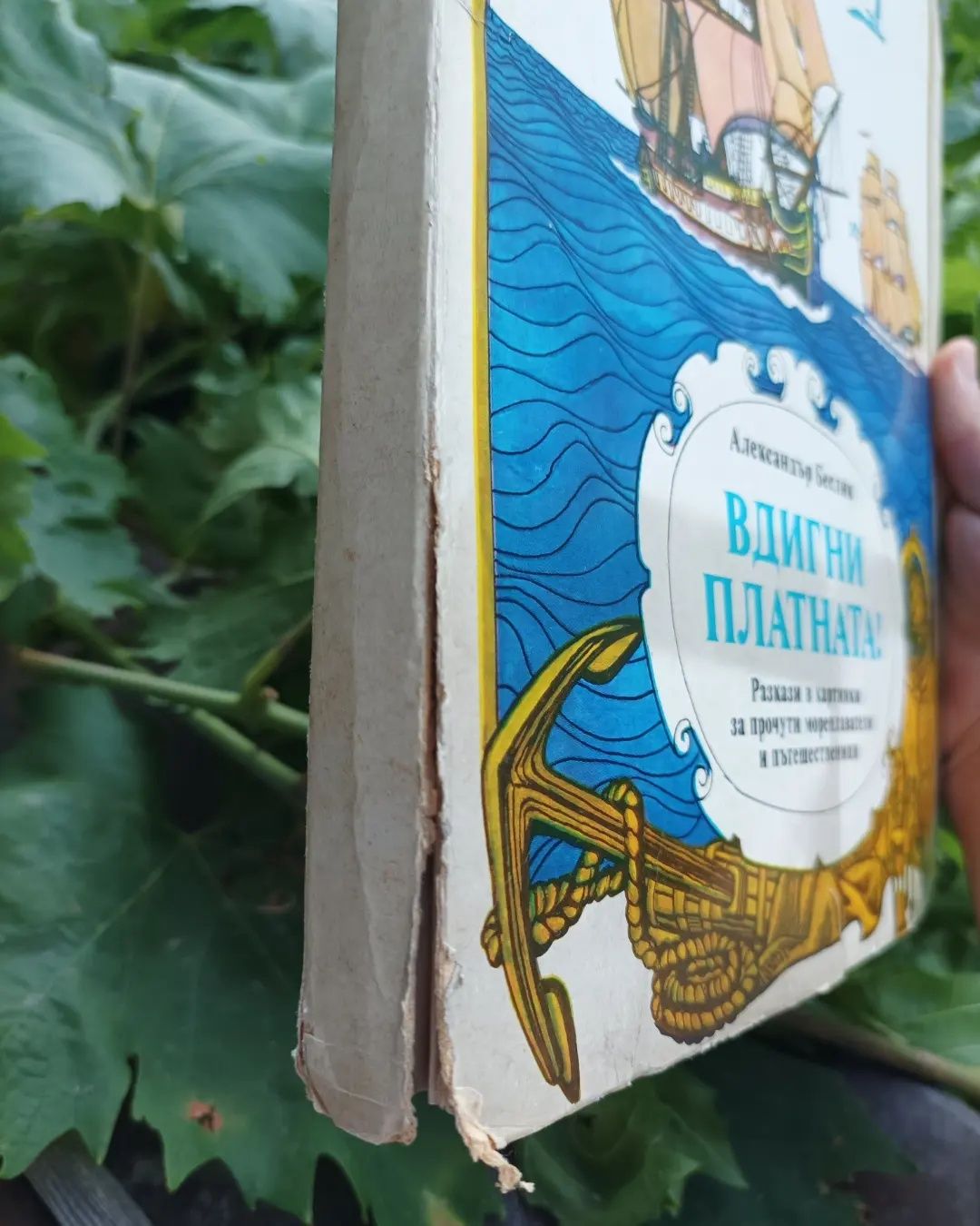 Панорамна книжка Вдигни платната