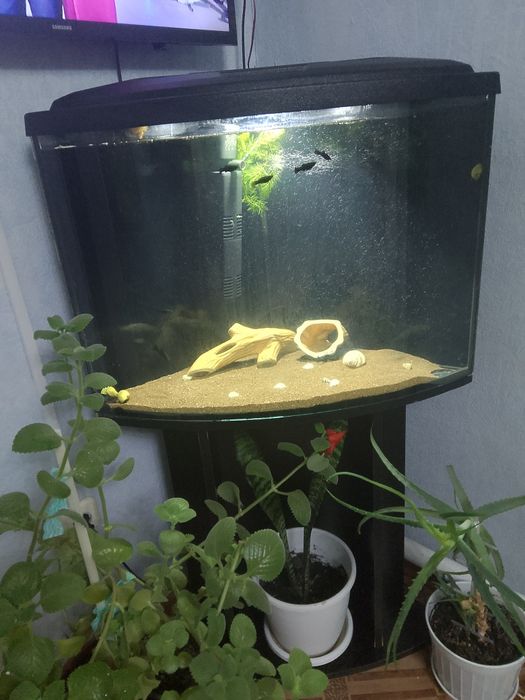 Продам Аквариум 70л.