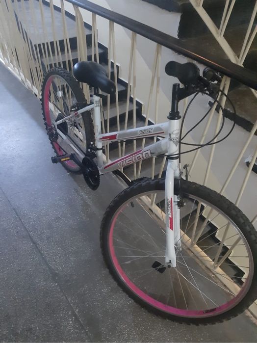 Bicicleta Venis Vision 24