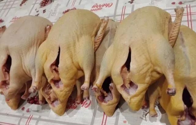 Продам гусей! Свежий забой