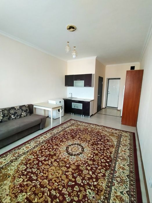 1 комнатная квартира, кухня-студия