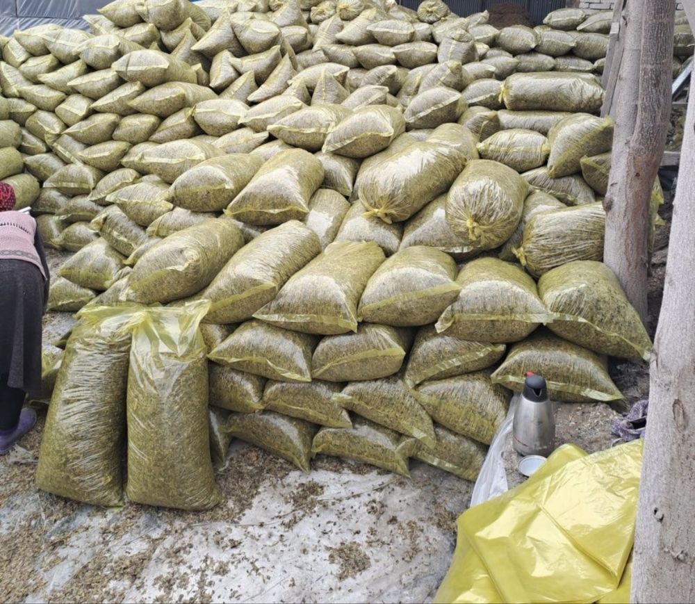 Silos DONLIK GIBRIT 18 000 som OPTOM