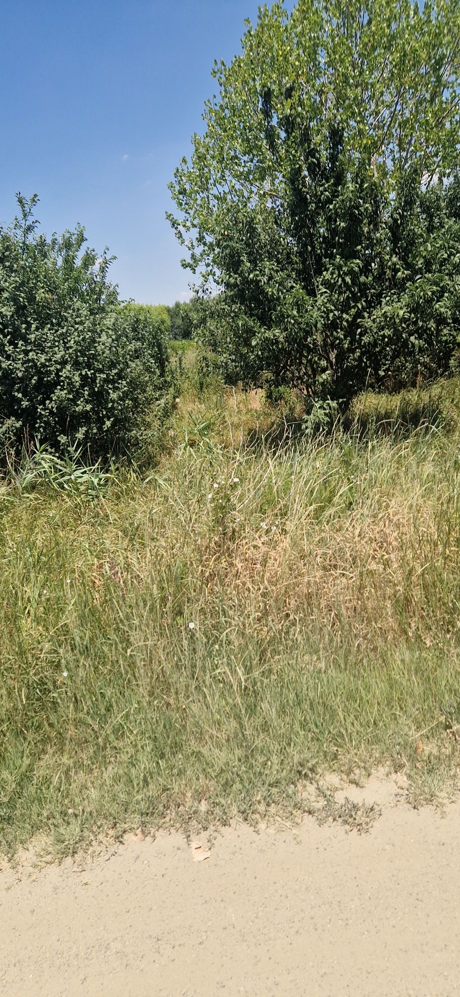 Vand teren in Buziasului 3415 mp