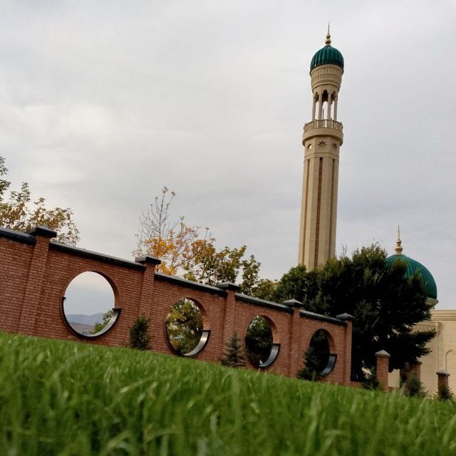 Sifatli Tom hizmati turli hildagi Tunka ishlarni qlamz