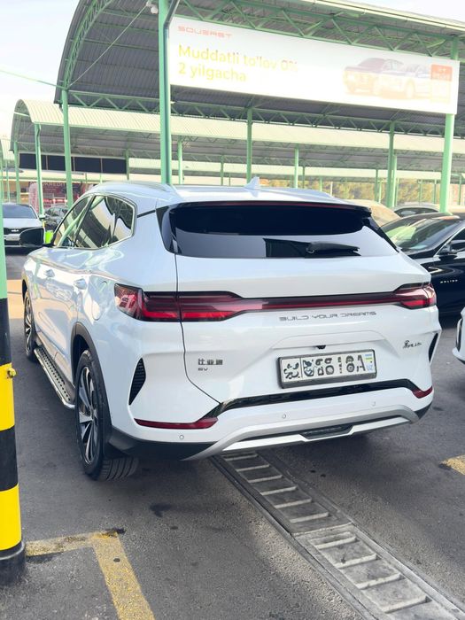 Byd song plus champion chempion