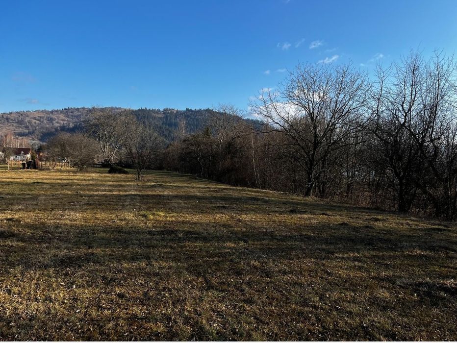 Teren intravilan Ceahlău 2500 mp