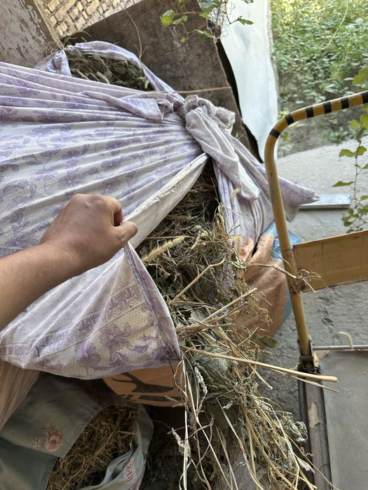 O’t makka poya non qoq sotiladi