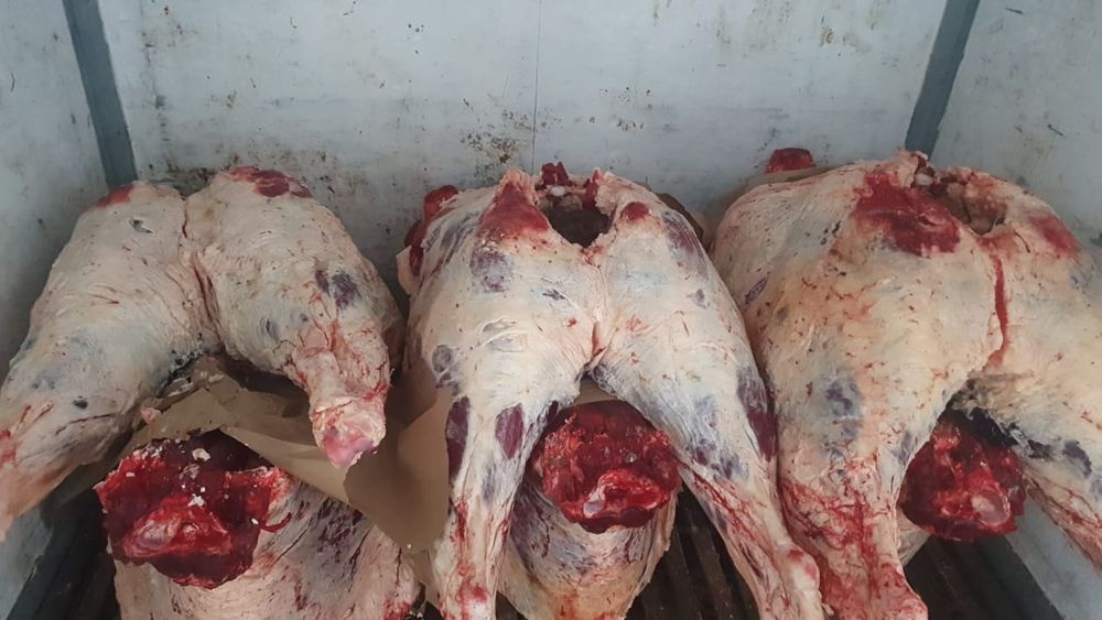 Мясо говядина тушами