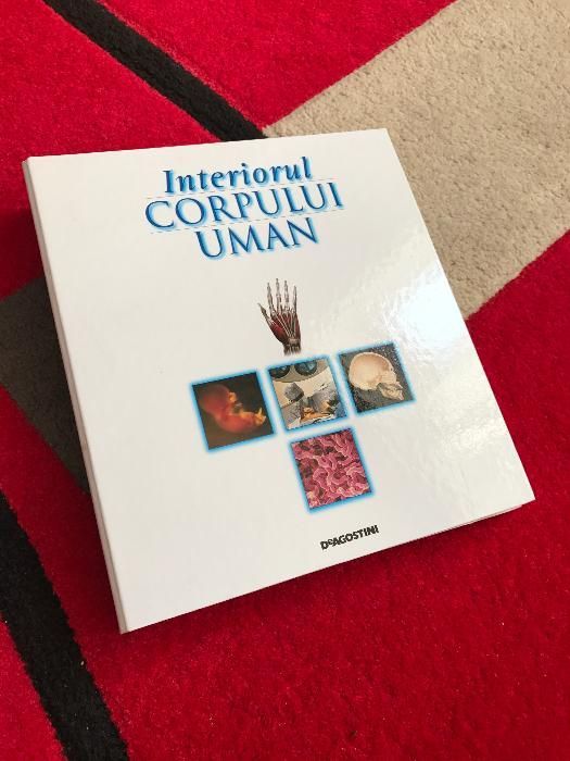 Interiorul corpului uman