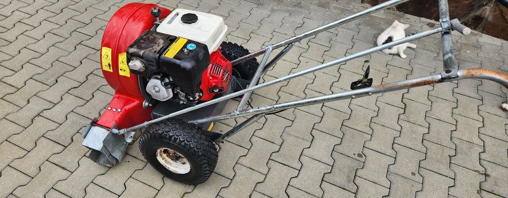 Suflanta profesionala