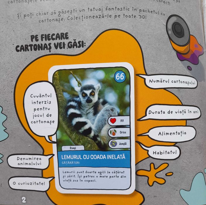 Set 96 cartonase + Album Mega Image (Joc Ghiceste animalul)