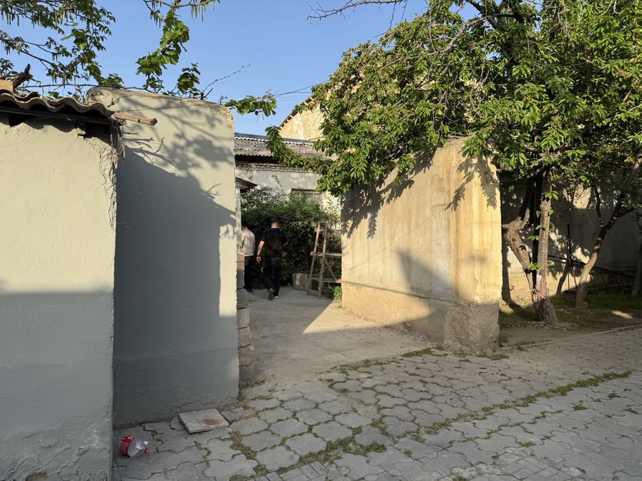 Sibirki kuchasidan xovli sotilyapti