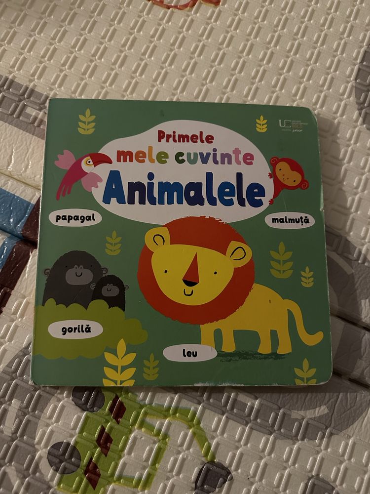 Carti pentru copii Usborne