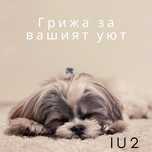 Професионално почистване на домове и офиси