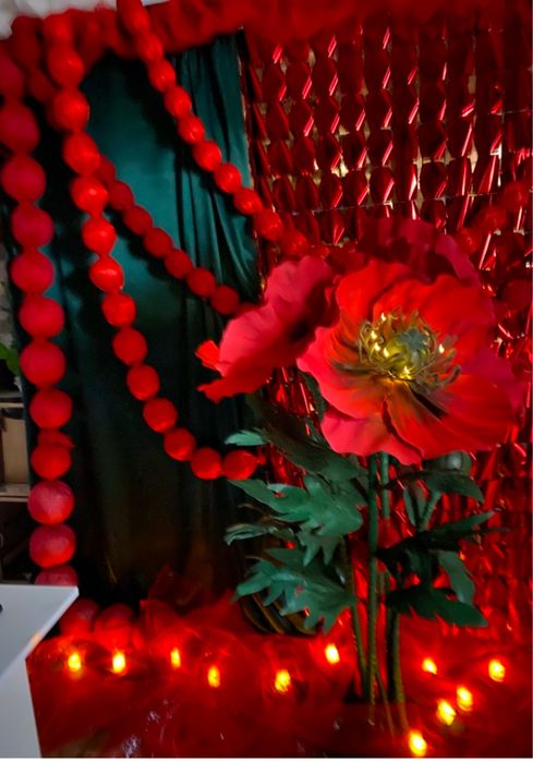 Аренда и оформление Бенто фотозон и декора