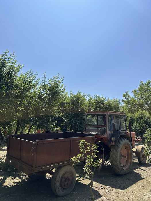 Vand tractor cu plug si disc in stare foarte buna