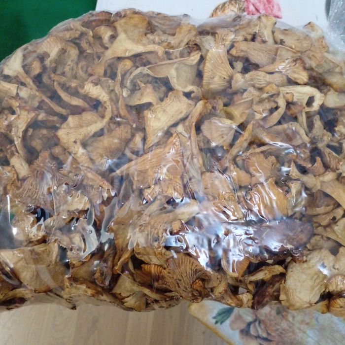 Продам 2кг сушеных лисичек