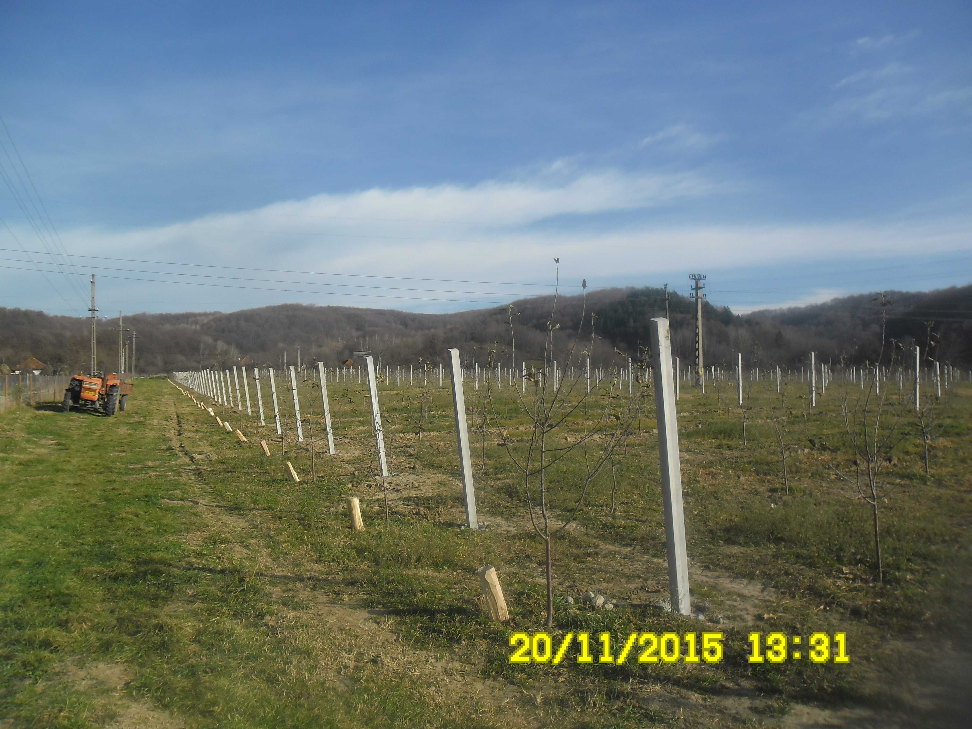 Spalieri beton/ Spalieri gard/Spalieri vie/Gard beton/Tuburi fantana