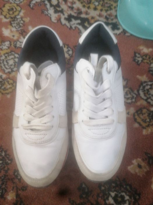 Adidasi tommy damă
