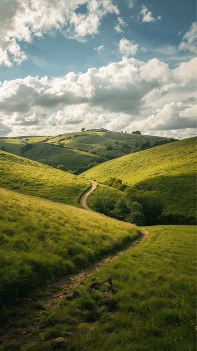 Заркент 1.5 гектара вдоль дороги