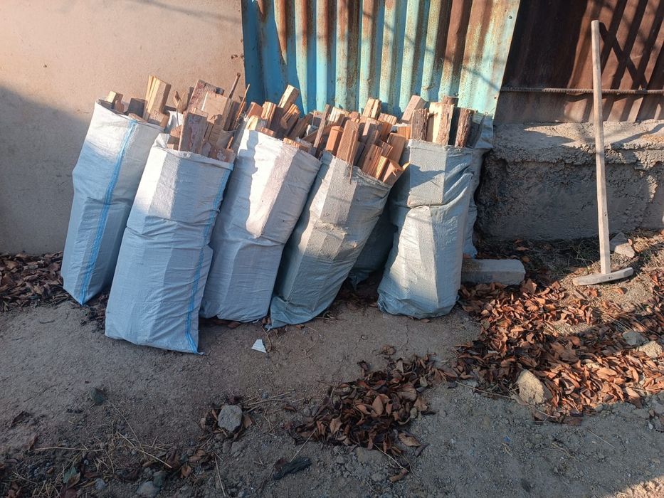 Дрова продаеться, отын сатылады