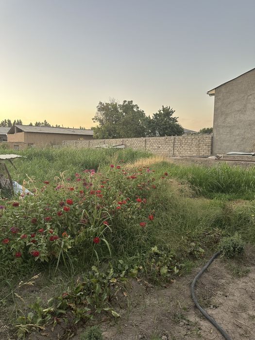 Tuzel Arka “Tovkent” 10,43 sotuli yer sotiladi!