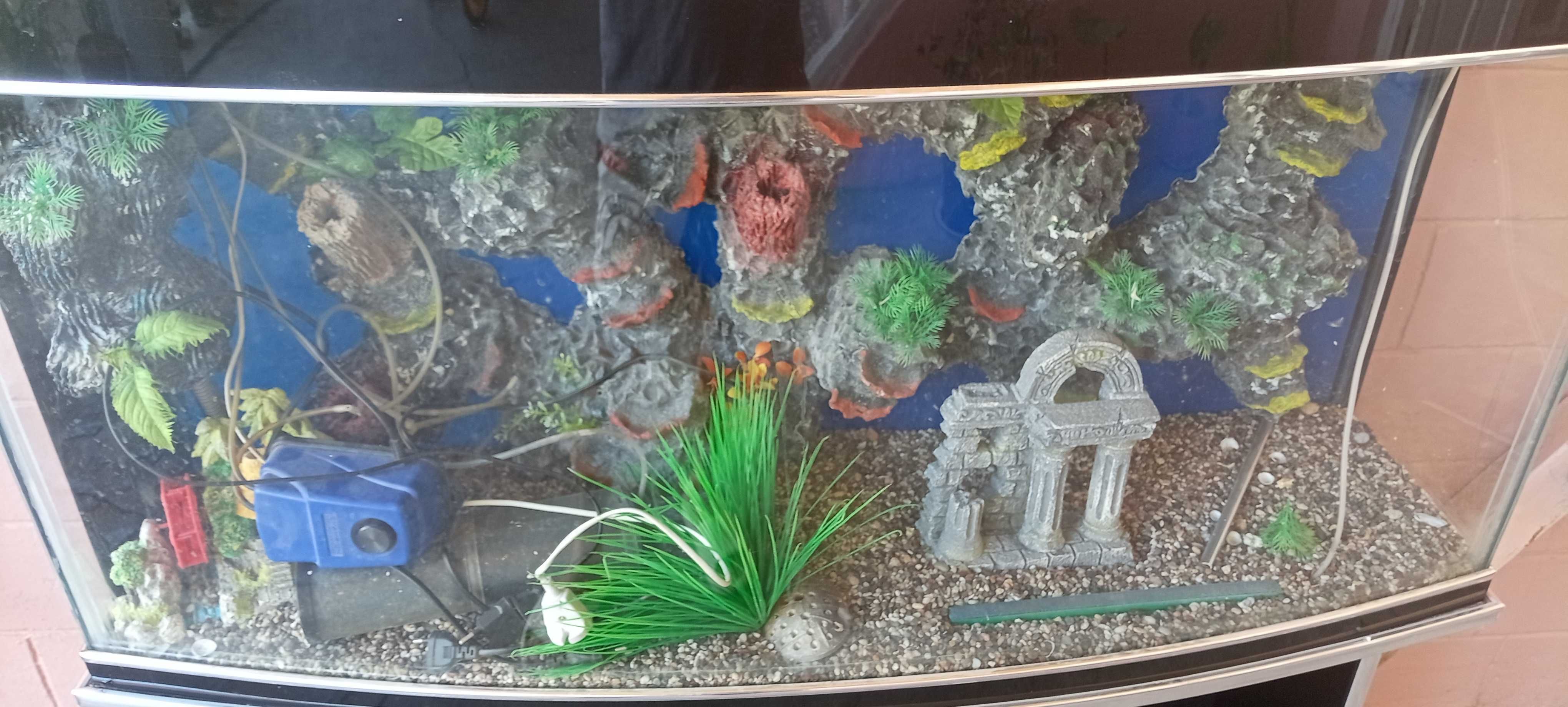 Akvarium sotiladi