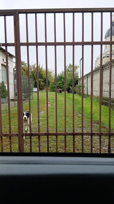 Casă și teren de vânzare
