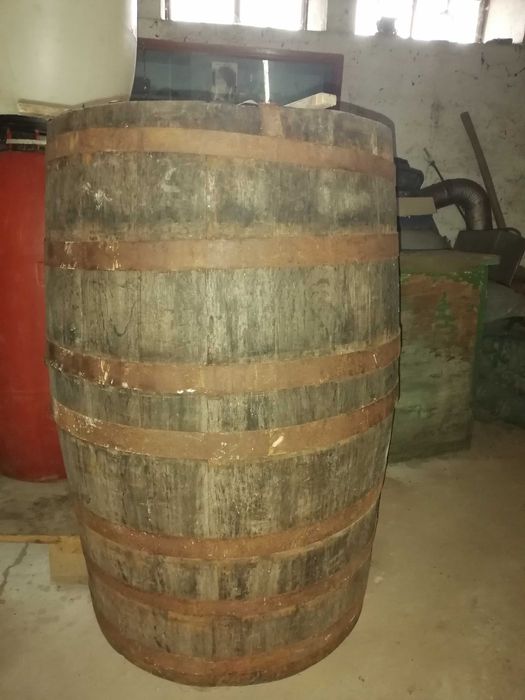 Продавам кадус бяло мише