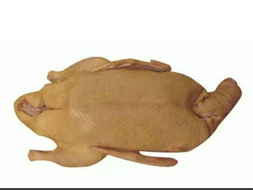 Продам домашнюю утку