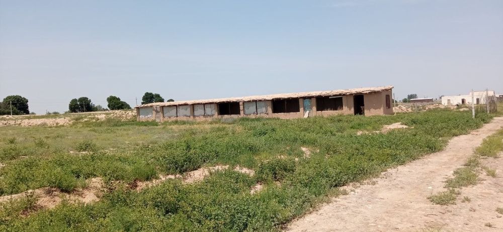 Yer sotiladi manzil nishon tuman yulduz mahallasida